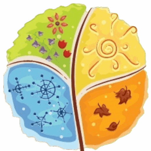 Experience Background